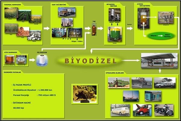 What is Biodiesel